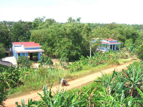 “Bức tường xanh” ngăn biển dữ